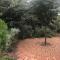 Birdsong Gardens