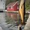 Cozy Apartment In Farsund