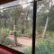 Jasmine at Porongurup Chalets
