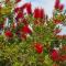 Villa Omega Kefalonia