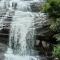 4 Acre Woods Farm Stay
