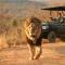 Makweti Safari Lodge - Welgevonden Game Reserve