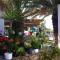 Plaka Camping Naxos