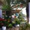 Plaka Camping Naxos