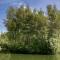 Lloyds Meadow Glamping
