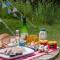 Lloyds Meadow Glamping