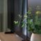 Apartament Willa Lniana