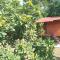 Scorpion Wings Eco-Resort