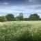 Waldegrave farm
