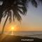 Baoba Breeze Bed & Breakfast- beachfront paradise