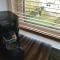 Apartment am Südpark Erfurt - inkl Garten mit Sitzlounge - zentrumsnah
