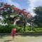Oceanami Resort & Beach Club