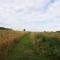 Cozy cottage overlooking fields, Upwell - Upwell