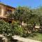 Oliveto e mare