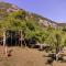 Camp Sunny Hills
