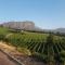 Florin’s Crest 3 Bedroom Villa, Franschhoek