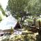 Happy Glamping - Kalamaki