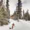 Stay at the Treeline with Fabulous Views! On Top of the World at Ptarmigan Lodge