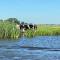 PUUR Eernewoude luxe chalet direct aan open vaarwater gelegen in de Alde Feanen - 埃尔讷沃德