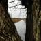 PUUR Eernewoude luxe chalet direct aan open vaarwater gelegen in de Alde Feanen - 埃尔讷沃德
