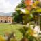 Il Castellaccio Bed & Breakfast - 斯佩洛