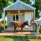 Tiny Cabin at the DonkeyRanch - Medicine Park