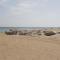 Don Pedro by Aguilarent