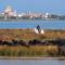 Provence, Studio vue lac, Parc Spirou, Wave Island, Avignon - Monteux