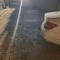 L-PACK PRIMROSe - Germiston