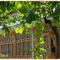 Spring Family Guest House