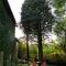 L'Annexe photo 14