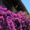 casa vacanze la palma