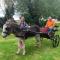 Starry Meadow & Rescued Animal Experiences