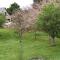 Studio nature a la ferme