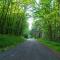 Ce Petit Chemin
