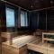 Levin Kunkku B penthouse