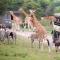 Port Lympne Mansion Hotel