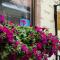 Hotel Claudiu