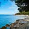 Apartment Mima with Sea View - Drage