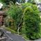 Ayu Bisma Homestay