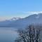 Lovely villa in Lavaux with unique view ! - Chardonne