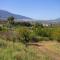 Bungalows-Cortijo Da Luigi-4 adultos-2 Dormitorios-Piscina-Ideal familias-Cártama-Málaga