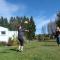 Alpine Holiday Apartments & Campground