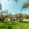 Comfy Studio at Klelia Cottage - Zakynthos