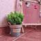 Apartman Cezar Lukavica