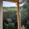 Blue House In The Woods- Amirim