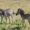 Thaba Eco Hotel