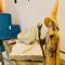 Vila das Estrelas - Guesthouse