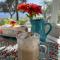 Charming 1935 Florida Cottage overlooking Lake Tulane