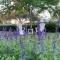 Charming 1935 Florida Cottage overlooking Lake Tulane - Avon Park